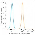ABflo® 488 Rabbit anti-Human ICAM2/CD102 mAb (100 T)