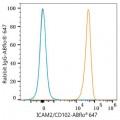 ABflo® 647 Rabbit anti-Human ICAM2/CD102 mAb (100 T)
