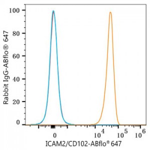 ABflo® 647 Rabbit anti-Human ICAM2/CD102 mAb (100 T)