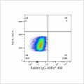 ABflo® 488 Rabbit anti-Human CD271/NGFR mAb (100 T)
