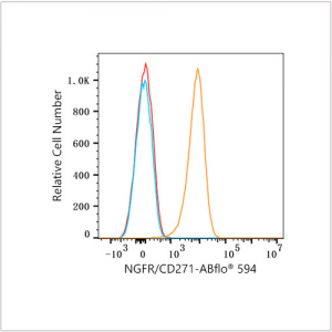 ABflo® 594 Rabbit anti-Human CD271/NGFR mAb (100 T)