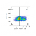 ABflo® 488 Rabbit anti-Human DC-SIGNR/CD299 mAb (100 T)