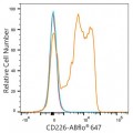 ABflo® 647 Rabbit anti-Human CD226/DNAM-1 mAb (100 T)