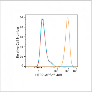ABflo® 488 Rabbit anti-Human HER2/ErbB2 mAb (100 T)