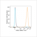 ABflo® 647 Rabbit anti-Human HER2/ErbB2 mAb (100 T)