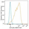 ABflo® 647 Rabbit anti-Human CD120b/TNFRSF1B mAb (100 T)