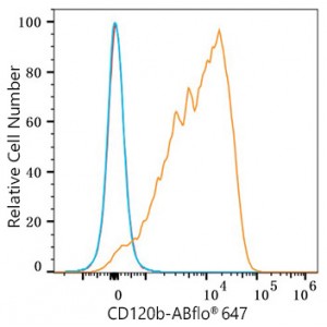 ABflo® 647 Rabbit anti-Human CD120b/TNFRSF1B mAb (100 T)