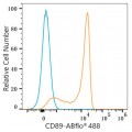 ABflo® 488 Rabbit anti-Human CD89 mAb (100 T)