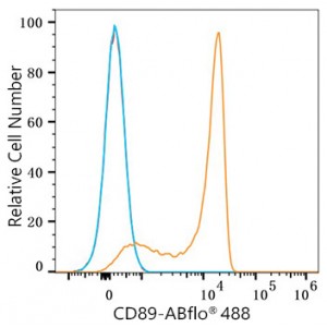 ABflo® 488 Rabbit anti-Human CD89 mAb (100 T)