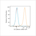 ABflo® 647 Rabbit anti-Human CD144/VE Cadherin mAb (100 T)