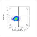 ABflo® 647 Rabbit anti-Human VEGFR2/CD309 mAb (100 T)