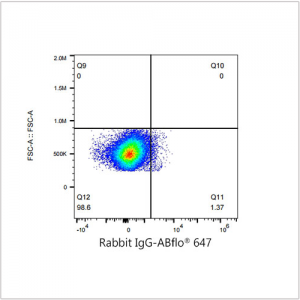 ABflo® 647 Rabbit anti-Human VEGFR2/CD309 mAb (100 T)