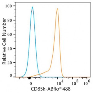 ABflo® 488 Rabbit anti-Human LILRB4/CD85k/ILT3 mAb (100 T)