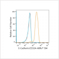 ABflo® 594 Rabbit anti-Human E-Cadherin/CD324 mAb (100 T)