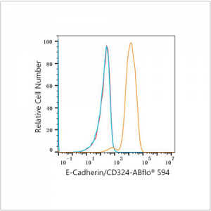 ABflo® 594 Rabbit anti-Human E-Cadherin/CD324 mAb (100 T)