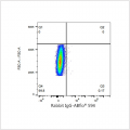 ABflo® 594 Rabbit anti-Human CD59 mAb (100 T)