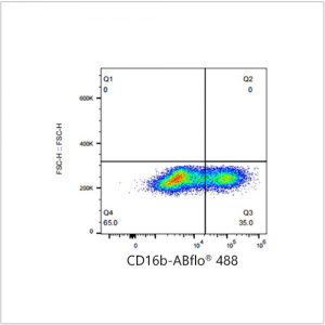 ABflo® 488 Rabbit anti-Human CD16b mAb (100 T)