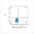 ABflo® 647 Rabbit anti-Human CD28 mAb (100 T)