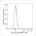 ABflo® 647 Rabbit anti-Human IgE mAb (100 T)
