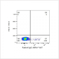ABflo® 647 Rabbit anti-Human CD170/Siglec-5 mAb (100 T)