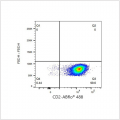ABflo® 488 Rabbit anti-Mouse CD2 mAb (100 T)