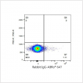 ABflo® 647 Rabbit anti-Mouse CD2 mAb (100 T)