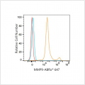 ABflo® 647 Rabbit anti-Human MMP9 mAb (100 T)