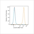 ABflo® 647 Rabbit anti-Human CD239/BCAM mAb (100 T)