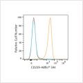 ABflo® 594 Rabbit anti-Human CD239/BCAM mAb (100 T)