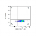 ABflo® 488 Rabbit anti-Human CD38 mAb (100 T)