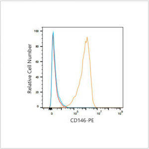 PE Rabbit anti-Human CD146 mAb (100 T)
