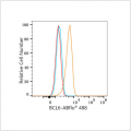 ABflo® 488 Rabbit anti-Human/Mouse BCL6 mAb (100 T)