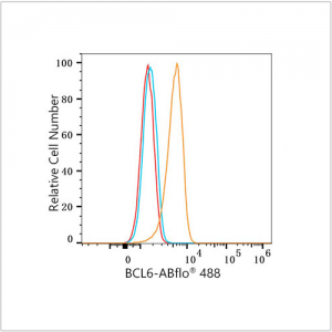 ABflo® 488 Rabbit anti-Human/Mouse BCL6 mAb (100 T)