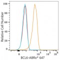 ABflo® 647 Rabbit anti-Human/Mouse BCL6 mAb (100 T)
