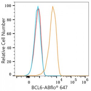 ABflo® 647 Rabbit anti-Human/Mouse BCL6 mAb (100 T)