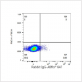 ABflo® 647 Rabbit anti-Human CD262/DR5/TRAILR2 mAb (100 T)