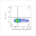ABflo® 488 Rabbit anti-Human Ig κ Light Chain mAb (100 T)