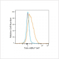 ABflo® 647 Rabbit anti-Human TrkA mAb (100 T)