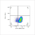 ABflo® 647 Rabbit anti-Mouse CD19 mAb (100 T)