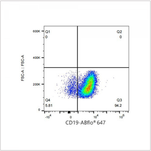 ABflo® 647 Rabbit anti-Mouse CD19 mAb (100 T)