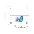ABflo® 594 Rabbit anti-Mouse CD19 mAb (100 T)