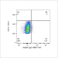 ABflo® 647 Rabbit anti-Human CD9 mAb (100 T)