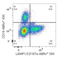 ABflo® 594 Rabbit anti-Human LAMP1/CD107a mAb (100 T)