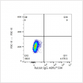 ABflo® 594 Rabbit anti-Mouse CD34 mAb (100 T)