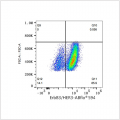 ABflo® 594 Rabbit anti-Human ErbB3/HER3 mAb (100 T)