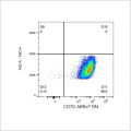 ABflo® 594 Rabbit anti-Human CD70 mAb (100 T)