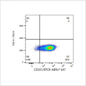 ABflo® 647 Rabbit anti-Human CD201/EPCR mAb (100 T)