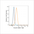 ABflo® 488 Rabbit anti-Human CD87/PLAUR mAb (100 T)