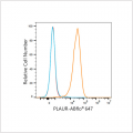ABflo® 647 Rabbit anti-Human CD87/PLAUR mAb (100 T)