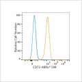 ABflo® 594 Rabbit anti-Human CD72 mAb (100 T)